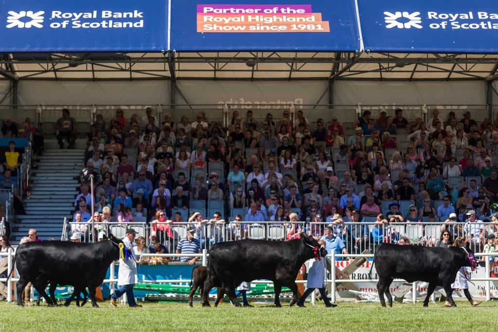 Royal Bank of Scotland backs Royal Highland Showcase  