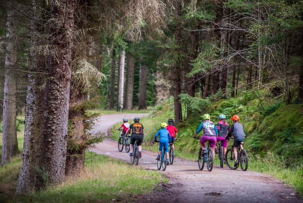 Forestry Land Scotland welcomes people back for a safe summer
