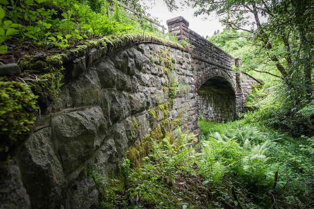 Dumfries & Galloway bridge under threat after council’s “planning blunder”