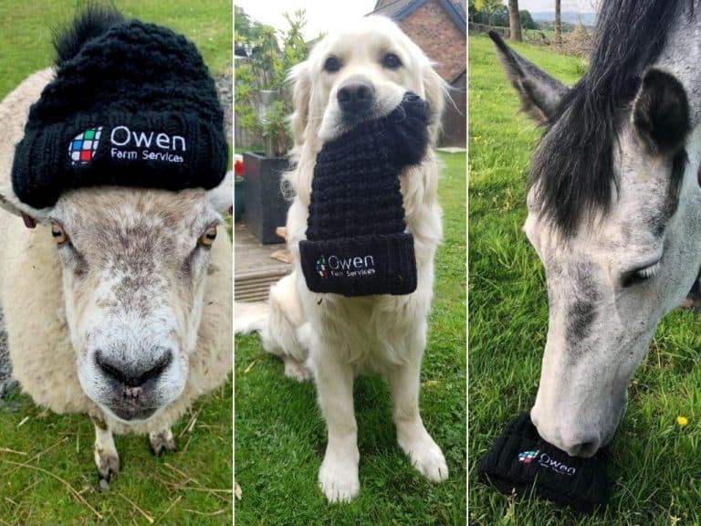 Owen Farm Services Update – What’s Happening In July
