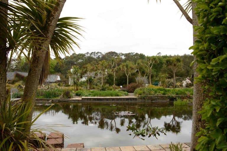 ‘BEST IN THE UK’ ACCOLADE FOR LOGAN BOTANIC GARDEN  