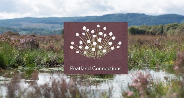 Discovering Your Peatlands: An Experiential, Expert Led Walk Through A Bog