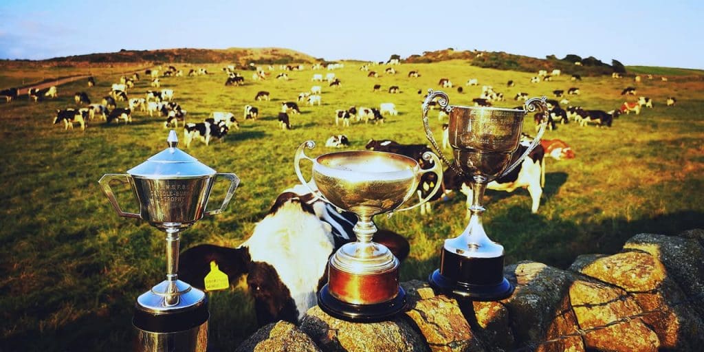 South West Scotland Holstein Club - HERD COMPETITION 2021 RESULTS