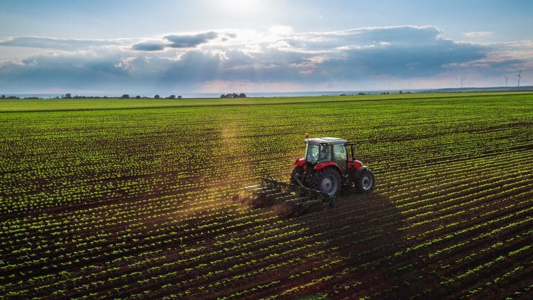 Health and safety at work – are agricultural workers drinking too much?