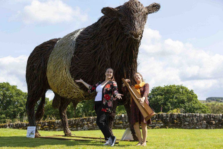 Kelton The Wicker Beltie Bull Is VIP Guest At Music At The Multiverse