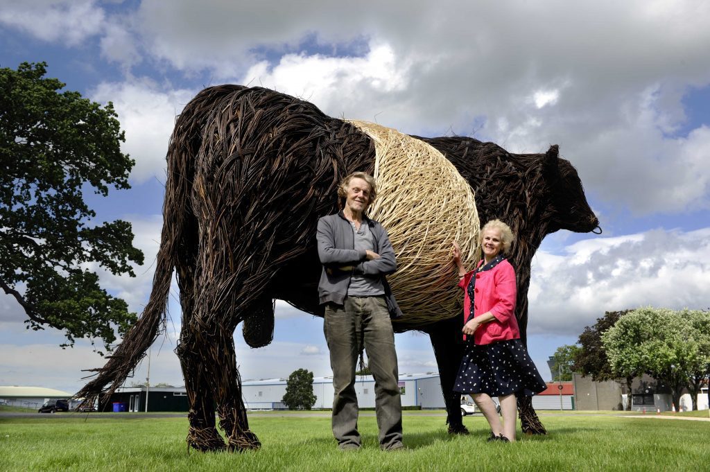 GIANT WICKER BELTIE BULL TO TOUR DUMFRIES AND GALLOWAY