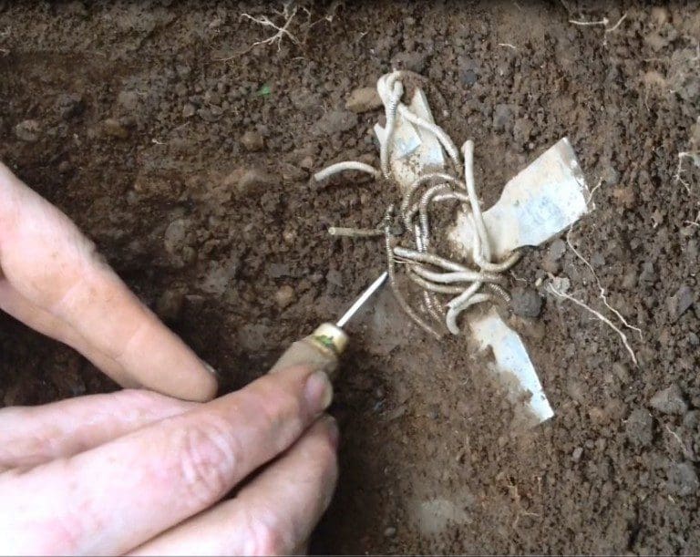 The discovery of the Galloway Hoard – a series of mini, pop-up events