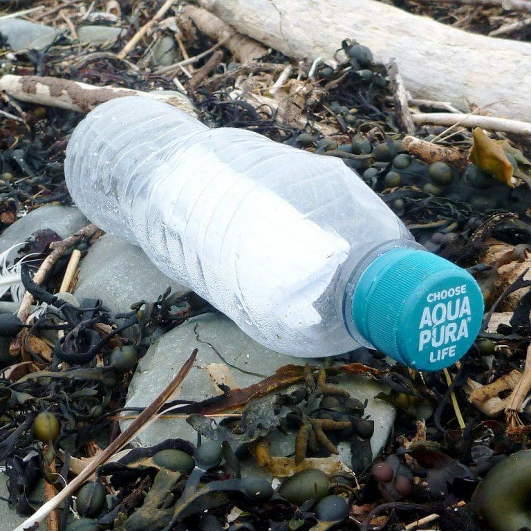 Join The Big Beach Clean at Mersehead with SFP