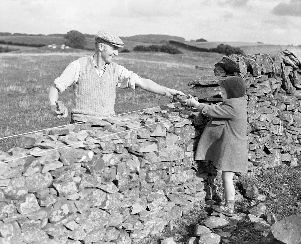 Drystone Dyking Competition comes to Threave!