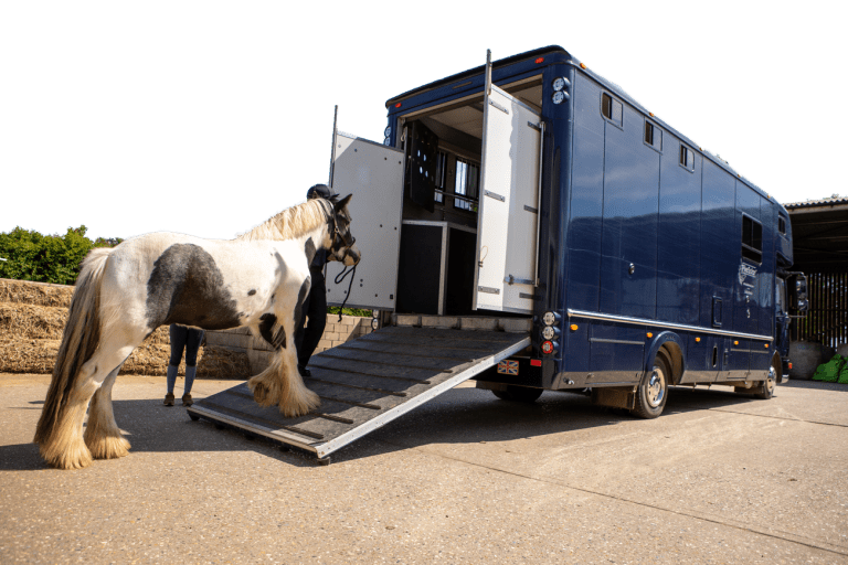 Window of opportunity for better welfare for equines in Scotland