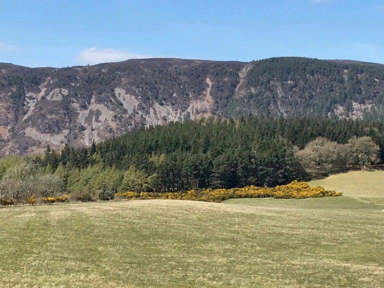 Chair of Land Commission urges caution in selling carbon rights