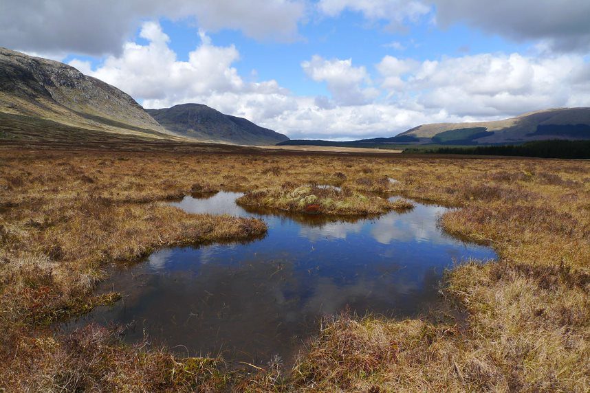 Positioning peatlands at heart of climate change debate