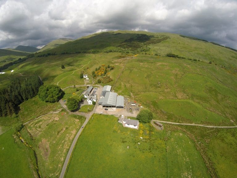 Climate solutions from peatlands to parasites