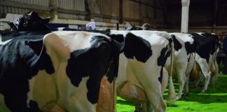 First Milk launches Regenerative Farming bonus