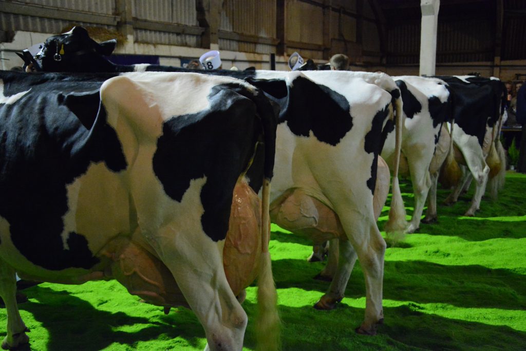 First Milk launches Regenerative Farming bonus