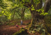 The Wild Woods of Western Europe - Free, Online Event
