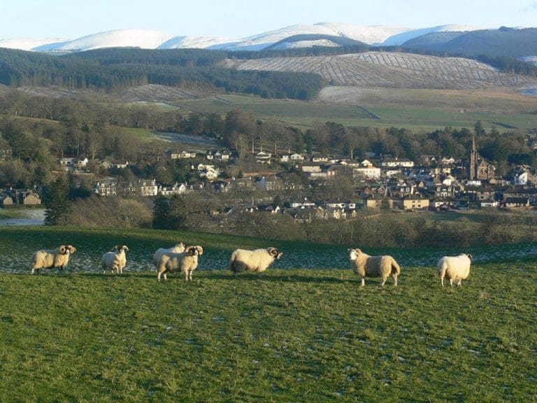 New Museum for the Central Southern Uplands