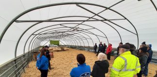 SUSTAINABLE FOOD PRODUCTION MESSAGE HITS HOME AT COP26 FARM VISITS FOR KEY INFLUENCERS