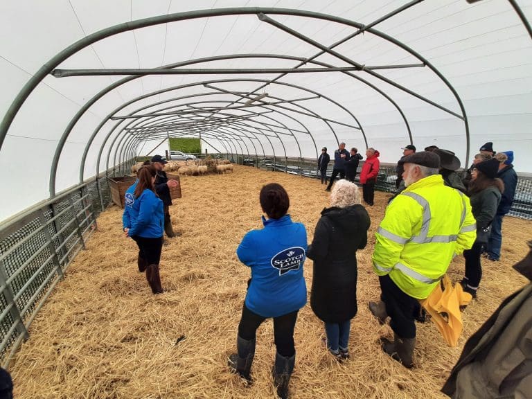 SUSTAINABLE FOOD PRODUCTION MESSAGE HITS HOME AT COP26 FARM VISITS FOR KEY INFLUENCERS