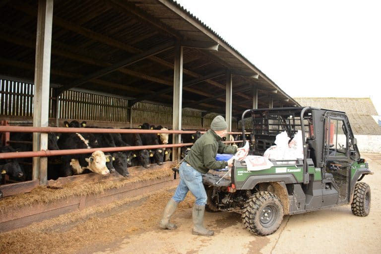 Scottish Farmers Facing Mental Health Concerns