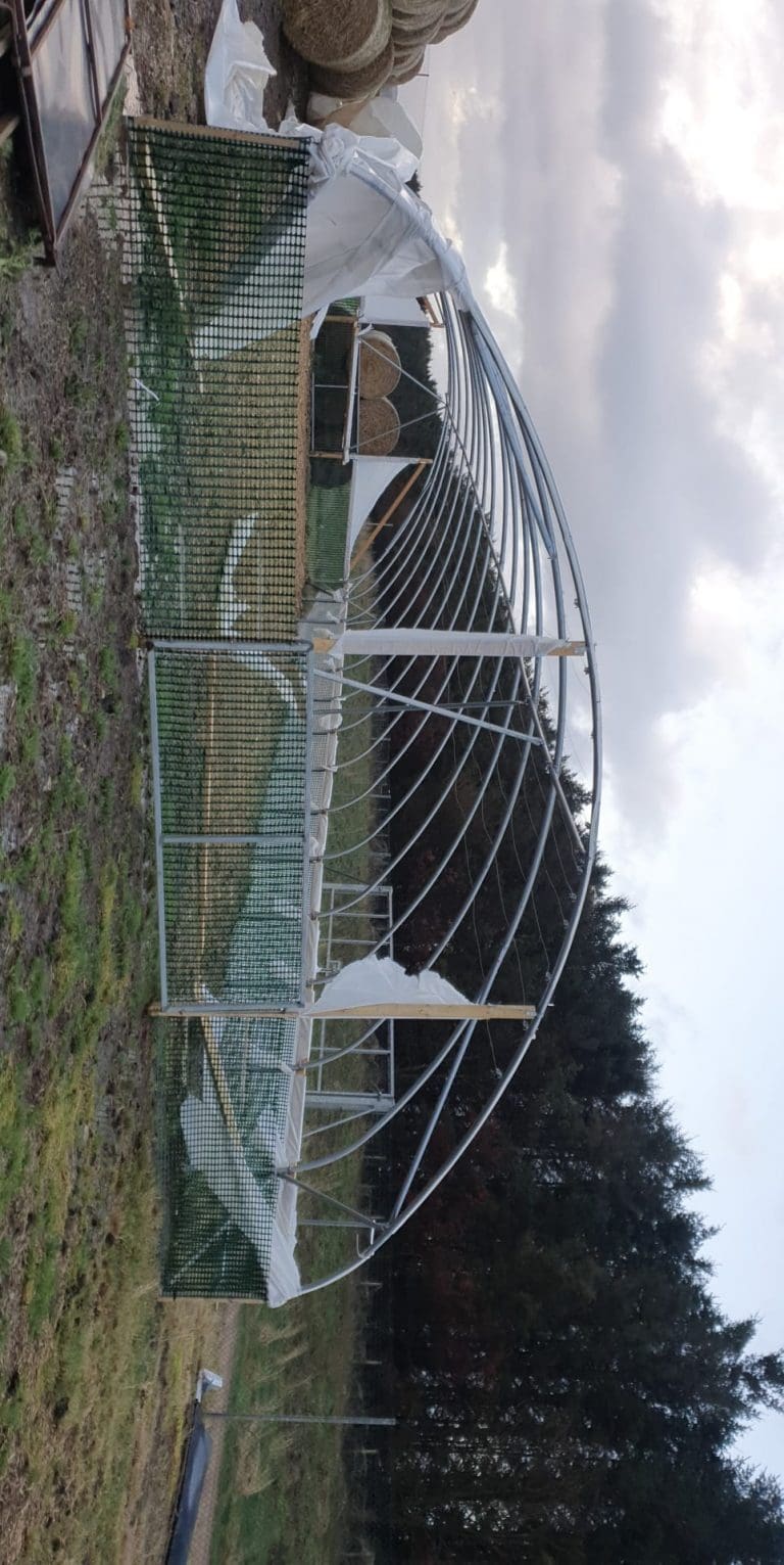 FARMERS AND CROFTERS COUNT THE COST OF STORM ARWEN