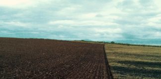 Boosting carbon storage in agricultural soil