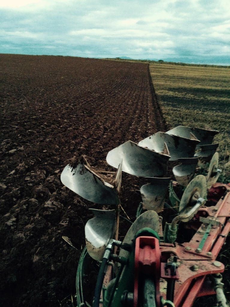 Boosting carbon storage in agricultural soil