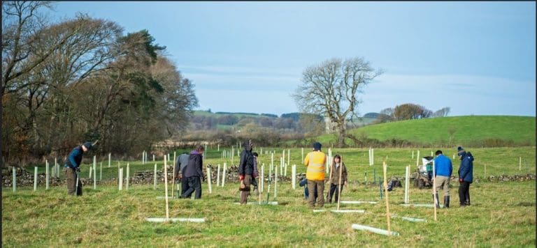 VOLUNTEERS GROW GALLOWAY’S NATIVE WOODLAND