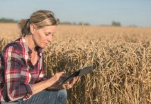 Creating opportunities for women in agriculture