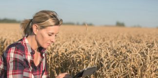 Creating opportunities for women in agriculture