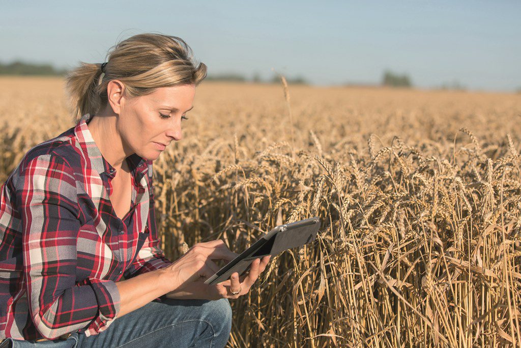 Creating opportunities for women in agriculture