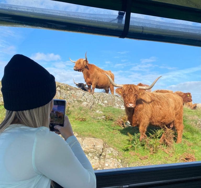 Local Businesses Invited To New Dumfries & Galloway Food Experience Trail