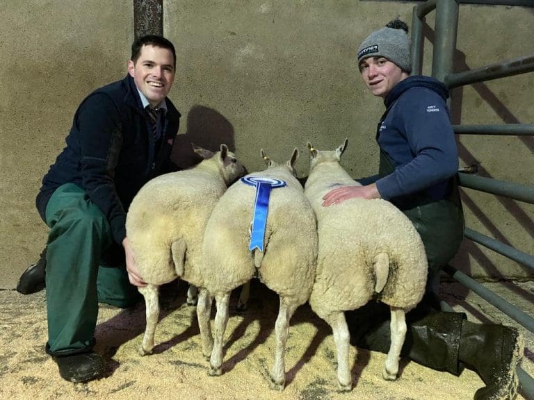 Wallets Marts Annual Christmas Show & Sale Tuesday 7th December 2021