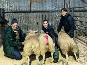 WALLETS MARTS ANNUAL CHRISTMAS SHOW AND SALE TUESDAY 7TH DECEMBER 2021