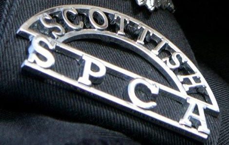 Members of the public targeted by bogus Scottish SPCA employees