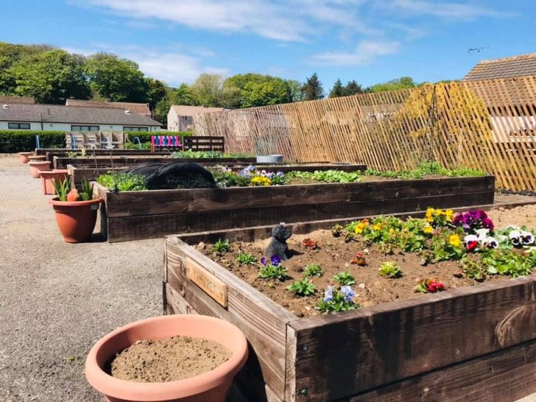 Volunteers Sought For Sandhead Community Garden