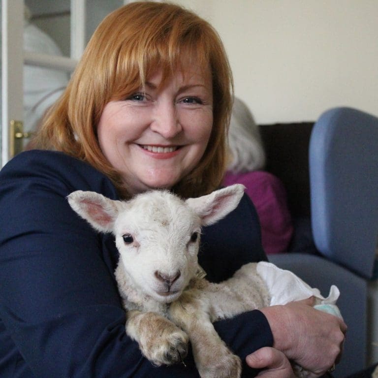 HARPER RAISES HER LIVESTOCK WORRYING ACT WITH THE FIRST MINISTER 