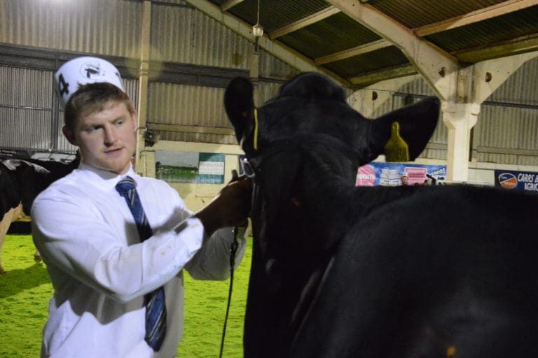 Five Judges For 2022 Royal Highland Show From Dumfries and Galloway