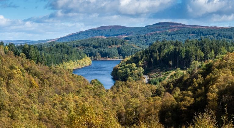 Tilhill Launches 2022 Graduate Programme