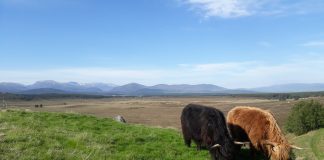 New Agroecology Learning Programme Launches for Farmers and Crofters 