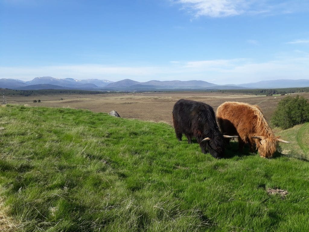 New Agroecology Learning Programme Launches for Farmers and Crofters 