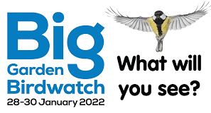 What will you see in the Big Garden Birdwatch?