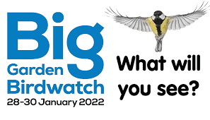 What will you see in the Big Garden Birdwatch?