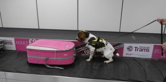 Scotland’s Detector Dogs Helping On The Frontline