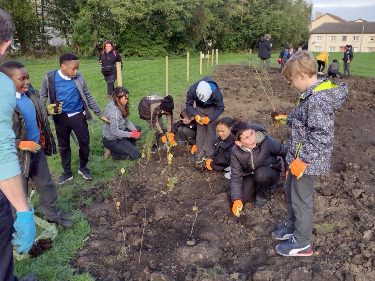 Big ambitions for Wee Forests