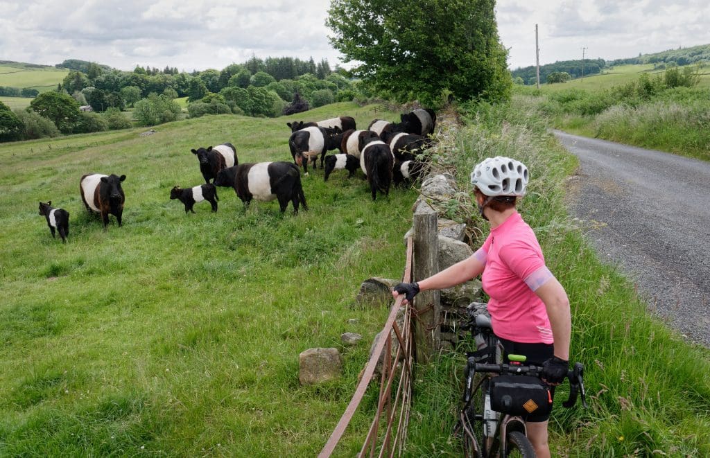 Galloway and Southern Ayrshire Biosphere Certification Mark Scheme Opens for Applications