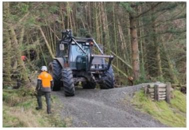 Common sense call as South Scotland forest clear-up continues