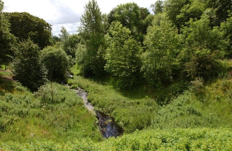 £25,000 Grant by NatureScot For Garple Burn Enhancement