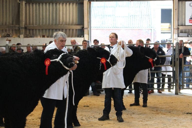 Police To Update Farmers On New livestock worrying rules at Castle Douglas