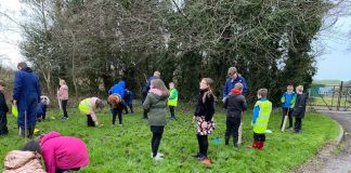More than 1,000 native trees now planted in Kirkcudbright